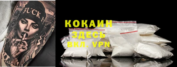 мдпв Вязьма