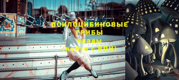 мдпв Вязьма