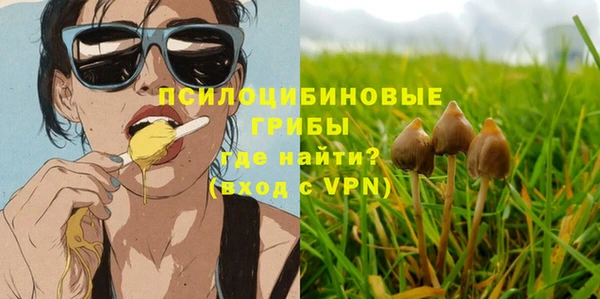 круглые Вяземский