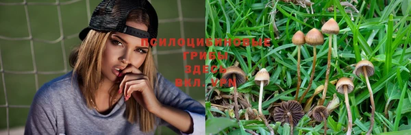 круглые Вяземский