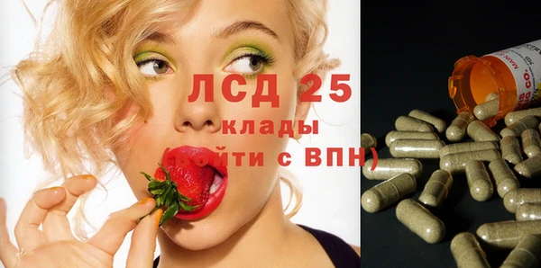 круглые Вяземский