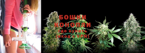 мдпв Вязьма